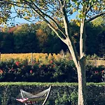 Antoinette Chigny-les-Roses
