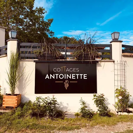 Antoinette 4*