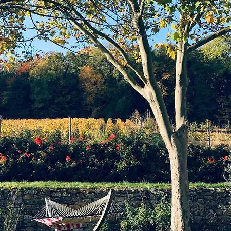Antoinette Chigny-les-Roses