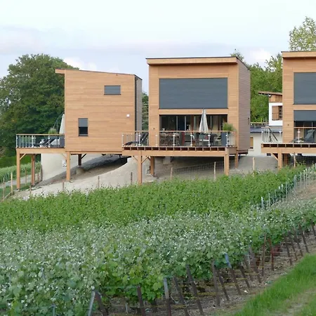 Antoinette 4* Chigny-les-Roses