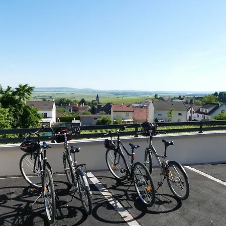 בית הארחה Antoinette Chigny-les-Roses
