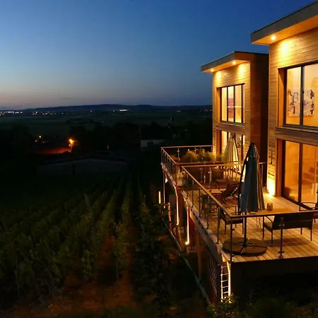 בית הארחה Antoinette Chigny-les-Roses