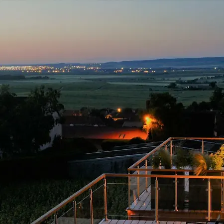 בית הארחה Antoinette 4*