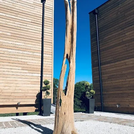 Antoinette Chigny-les-Roses