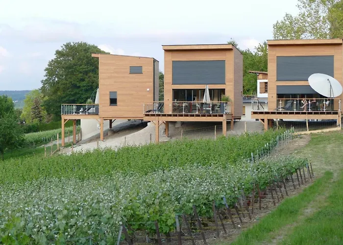 Antoinette 4* Chigny-les-Roses